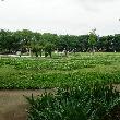 芝生広場